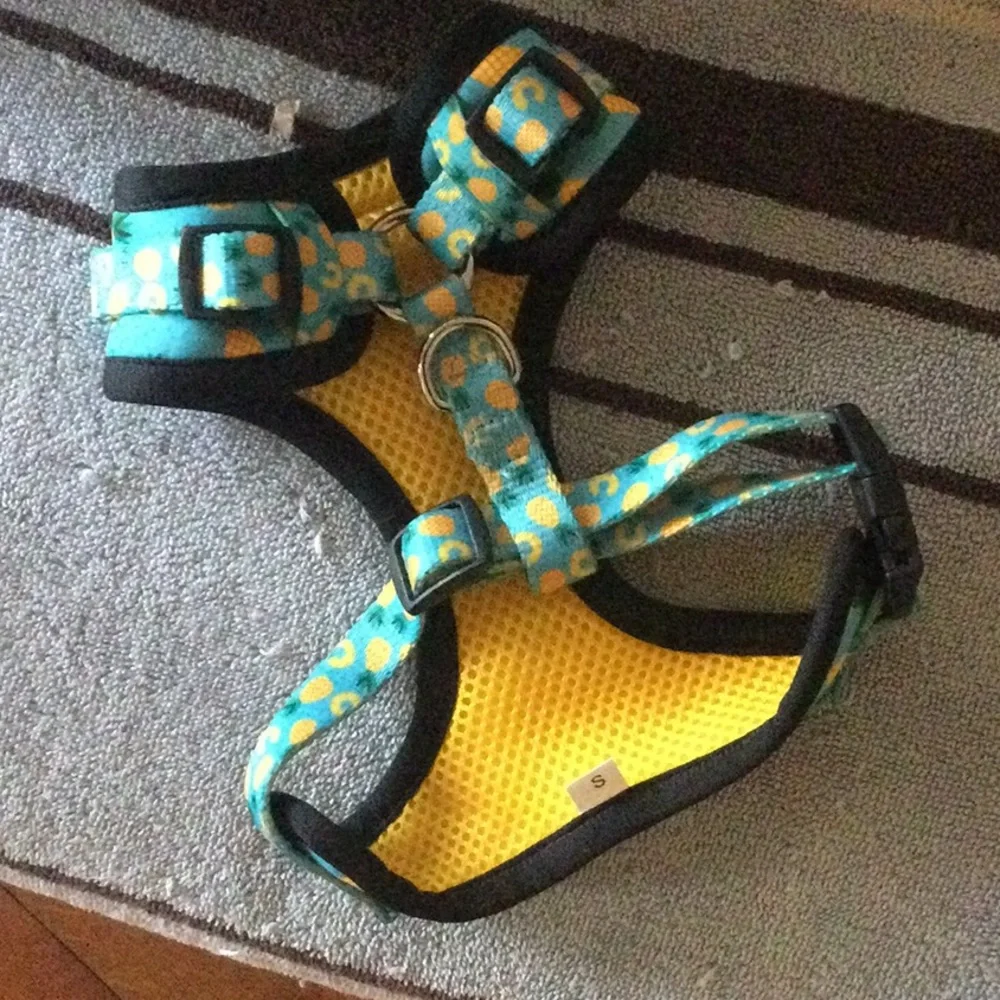 Soapy Moose harness and leash for cat or small dog, EEEEEUC